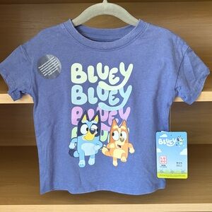 ✨$6✨NWT•Bluey & Bingo Toddler Short Sleeve Tee | Gray Blue |  2T